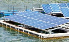 Project Management Consultant